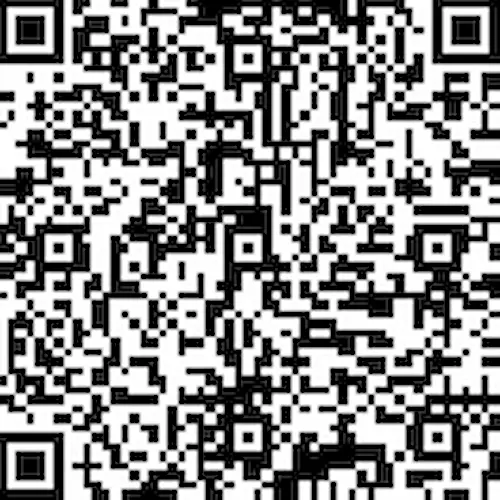 qr de web otorrinoenpilar.com
